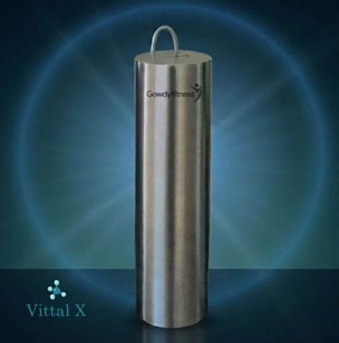 Vittal X PRO 6 ( 10.000 LTS  )